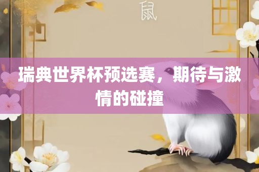 瑞典世界杯预选赛，期待与激情的碰撞