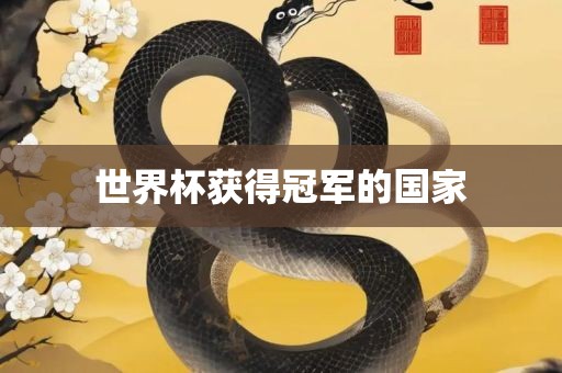 世界杯获得冠军的国家洛阳市法福文化传播有限公司