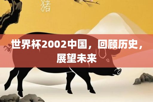 世界杯2002中国，回顾历史，展望未来