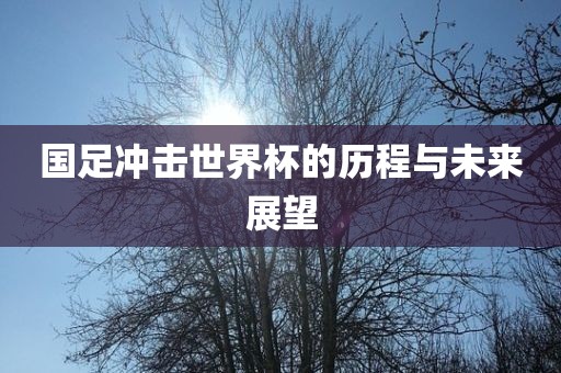 国足冲击世界杯的历程与未来展望