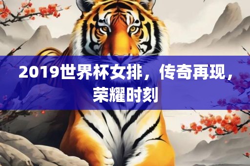 2019世界杯女排，传奇再现，荣耀时刻