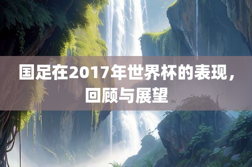 国足在2017年世界杯的表现，回顾与展望