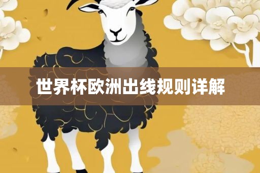世界杯欧洲出线规则详解