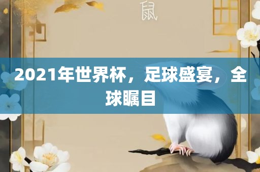 2021年世界杯，足球洛阳市法福文化传播有限公司盛宴，全球瞩目