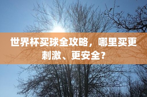 世界杯买球全攻略，哪里买更刺激、更安全？洛阳市法福文化传播有限公司