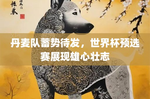 丹麦队蓄势待发，世界杯预选赛展现雄心壮志