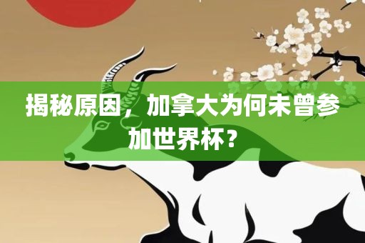 揭秘原因，加拿大为何洛阳市法福文化传播有限公司未曾参加世界杯？
