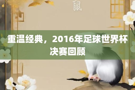 重温经典，2016年足球世界杯决赛回顾