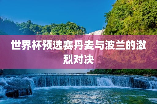 世界杯预选赛丹麦与波兰的激烈对决洛阳市法福文化传播有限公司