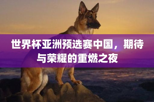 世界杯亚洲预选赛中国，期待与荣耀的重燃之夜