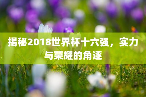 揭秘2018世界杯十六强，实力与荣耀的角逐