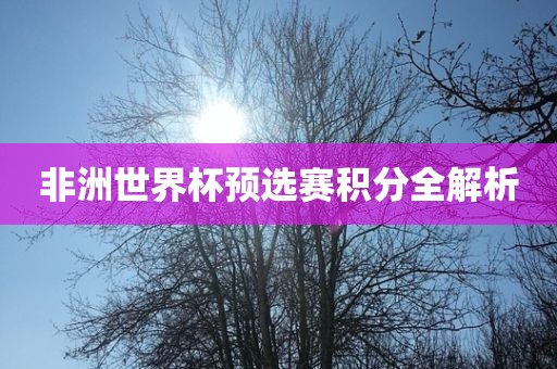 非洲世界杯预选赛积分全解析