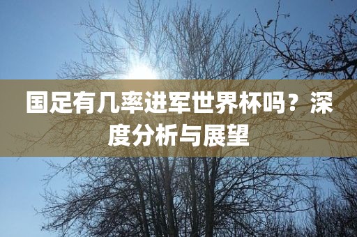 国足有几率进军世界杯吗？深度分析与展望