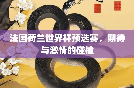法国荷兰世界杯预选赛，期待与激情的碰撞洛阳市法福文化传播有限公司