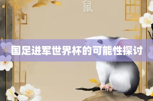 国足进军世界杯的可能性探讨