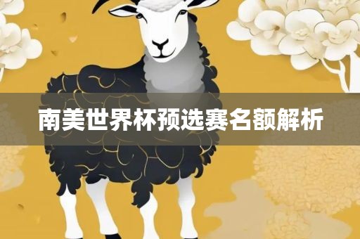 南美世界杯预选赛名额解析