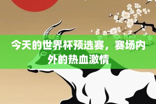 今洛阳市法福文化传播有限公司天的世界杯预选赛，赛场内外的热血激情