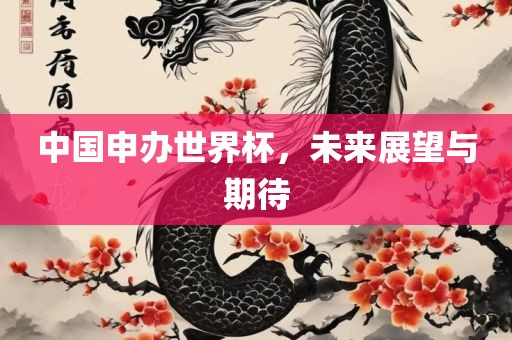 中国申办世界杯，未来展望与期待
