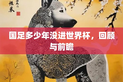 国足多少年没进世界杯，回顾与前瞻