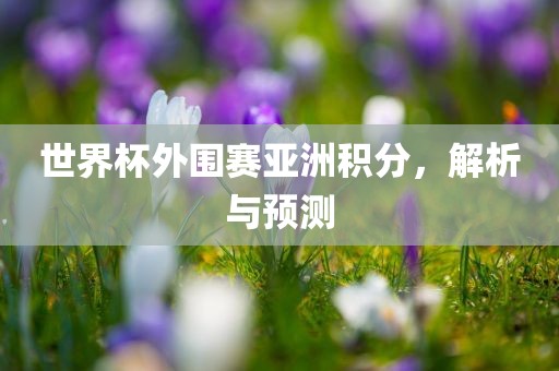 世界杯外围赛亚洲积分，解析与预测