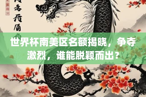 世界杯南美区名额揭晓，争夺激烈，谁能脱颖而出？