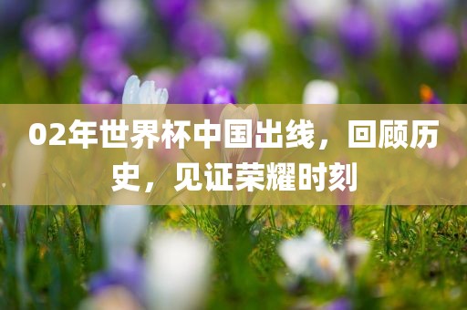 02年世界杯中国出线，回顾历史，见证荣耀时刻洛阳市法福文化传播有限公司