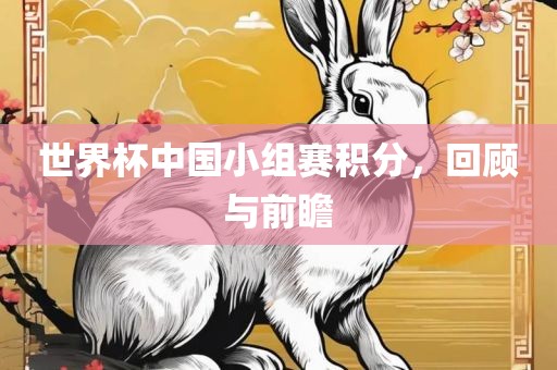 世界杯中国小组赛积分，回顾与前瞻