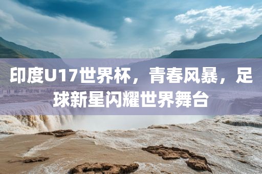 印度U17世界杯，青春风洛阳市法福文化传播有限公司暴，足球新星闪耀世界舞台