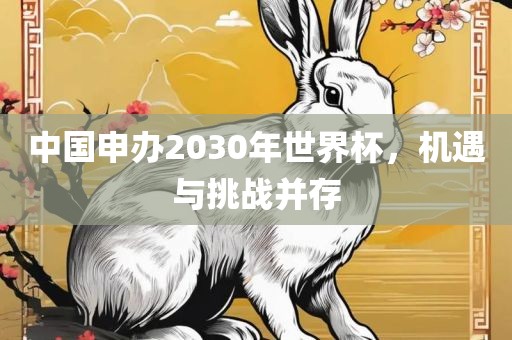 中国申办2030年世界杯，机遇与挑战并存