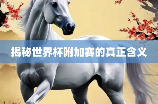 揭秘世界杯附加赛的真正含义