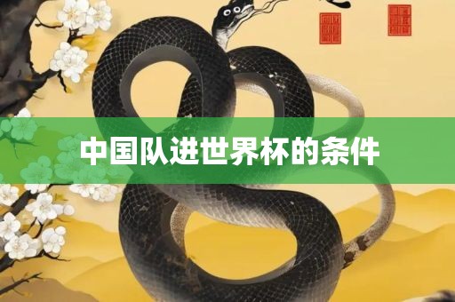 中国队进世界杯的条件