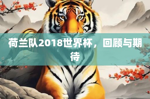 荷兰队2018世界杯，回顾与期待