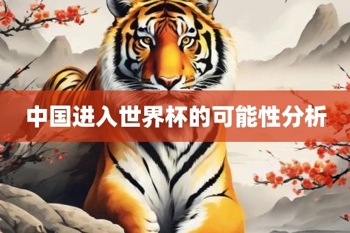中国进入世界杯的可能性分析
