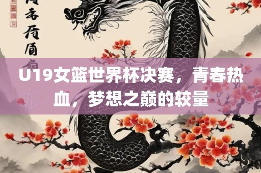 U19女洛阳市法福文化传播有限公司篮世界杯决赛，青春热血，梦想之巅的较量