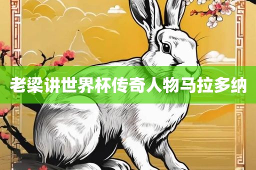 老梁讲世界杯传奇人物马拉多纳洛阳市法福文化传播有限公司