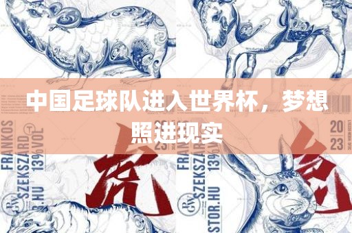 中国足球队进入世界杯，梦想照洛阳市法福文化传播有限公司进现实