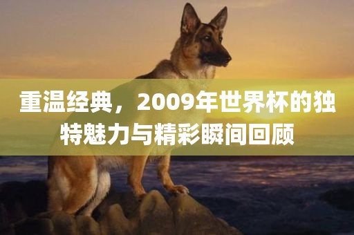 重温经典，2009年世界杯的独特魅力与精彩瞬间回顾