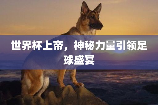 世界杯上帝，神秘力量引领足球盛宴洛阳市法福文化传播有限公司