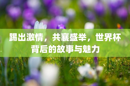 踢出激情，共襄盛举，世界杯背后的故事与魅力