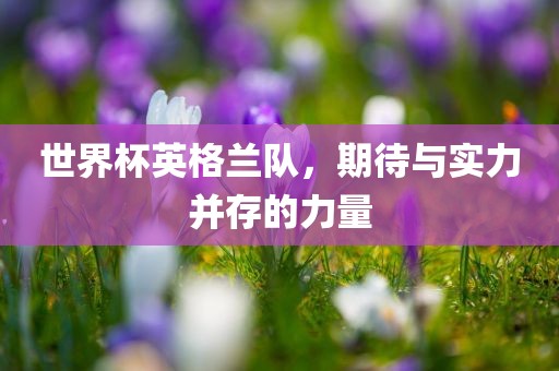 世界杯英格兰队，期待与实力并存的力量