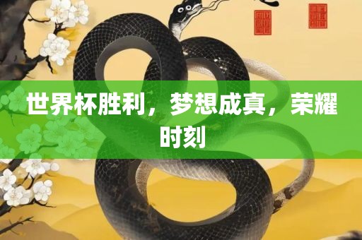 世界杯胜利，梦想成真，荣耀时刻