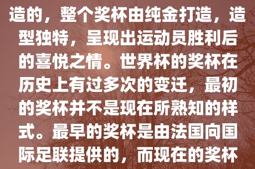 世界杯的杯来源于为了纪念雷米特，同时也是为了鼓励足球运动的发展，国际足联将这一荣誉奖杯命名为雷米特杯。其最初是由法国雕刻家设计并创造的，整个奖杯由纯金打造，造型独特，呈现出运动员胜利后的喜悦之情。世界杯的奖杯在历史上有过多次的变迁，最初的奖杯并不是现在所熟知的样式。最早的奖杯是由法国向国际足联提供的，而现在的奖杯是在多次设计之后最终确定的。因此，世界杯的杯来源于对足球运动的纪念和鼓励，同时也是经过多次设计和改进而成的。洛阳市法福文化传播有限公司
