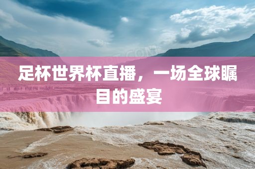 足杯世界杯直播，一场全球瞩目的盛宴洛阳市法福文化传播有限公司