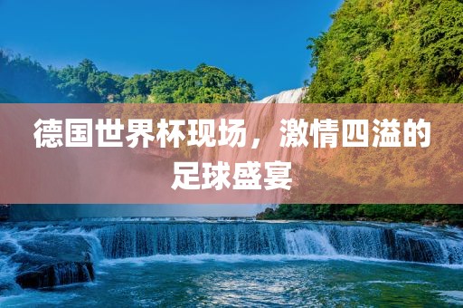 德国世界杯现场，激情四溢的足球盛宴洛阳市法福文化传播有限公司