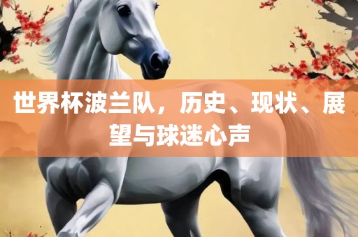 世界杯波兰队，历史、现状、展望与球迷心声