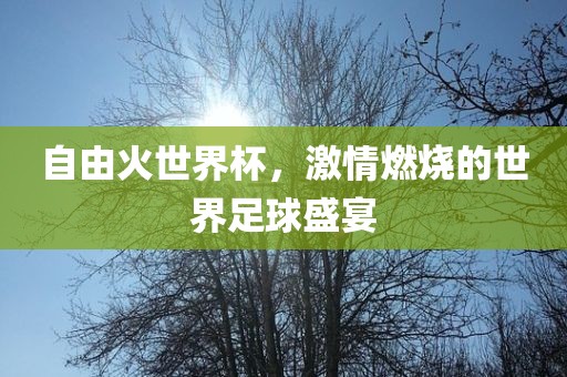 自由火世界杯，激情燃烧的世界足球盛宴