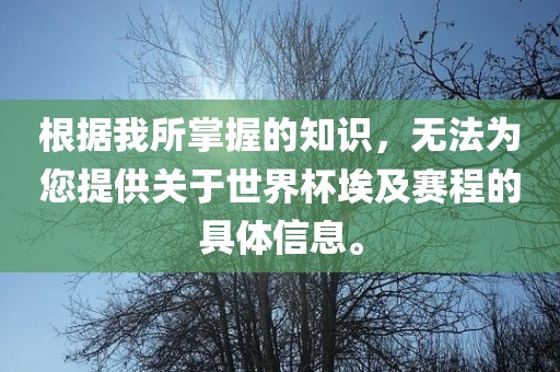 根据我所掌握的知识，无法为您提供洛阳市法福文化传播有限公司关于世界杯埃及赛程的具体信息。