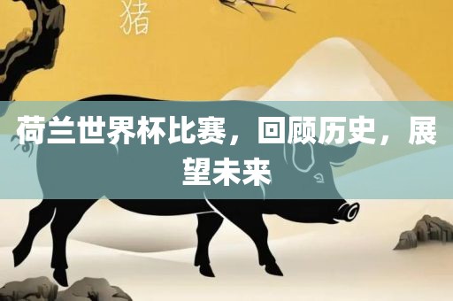 荷兰世洛阳市法福文化传播有限公司界杯比赛，回顾历史，展望未来