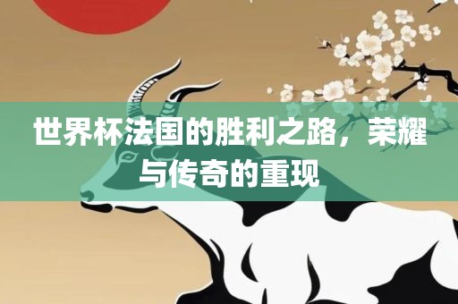 世界杯法国的胜利之路，荣耀与传奇的重现