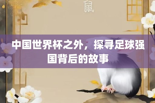 中国世界杯之外，探寻足球强国背后的故事